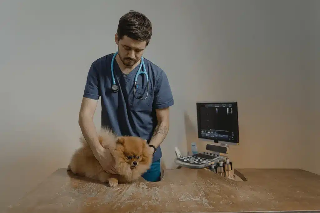 vet practice insurance in Worcestershire
